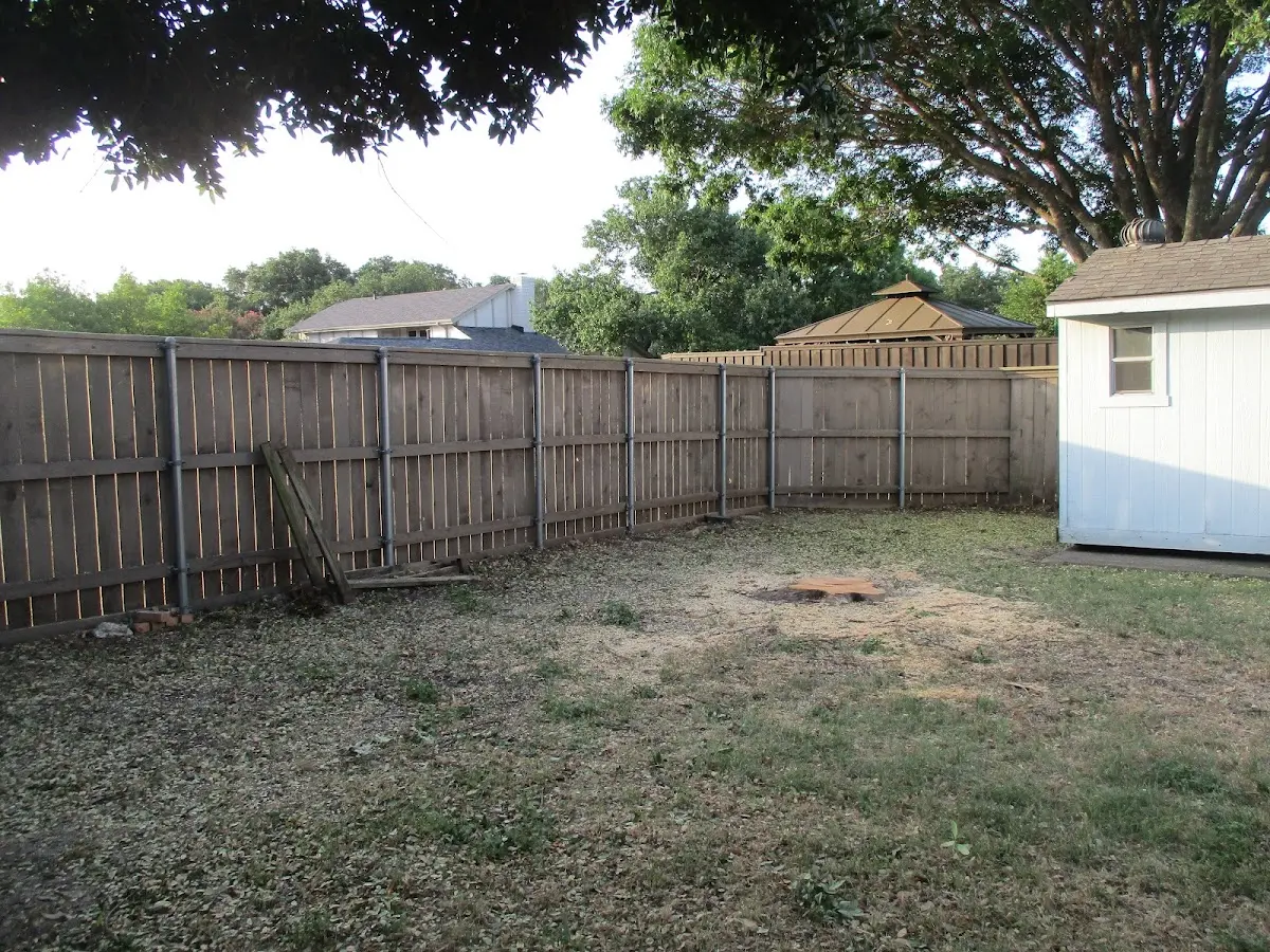 Cleared yard after professional tree removal in La Crosse